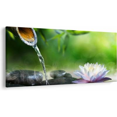 Obraz - Lotus, jednodielne 200x100 cm