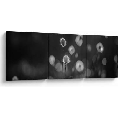 Obraz - Cottongrass na louce, třídílný 90x30 cm