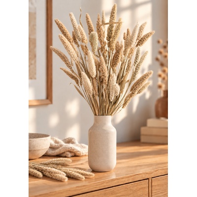 Setárie sušená přírodní béžová (Setaria Pendula), svazek 50g – Hledejceny.cz