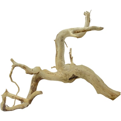 Invital Red moor wood KG 1105 g 3611