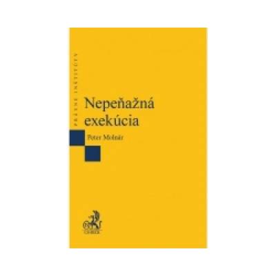 Nepeňažná exekúcia