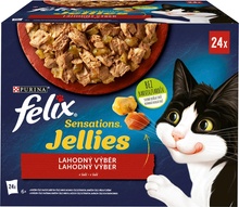 Felix Sensations Jellies hovädzie kuracie kachna jahňacie v želé 24 x 85 g