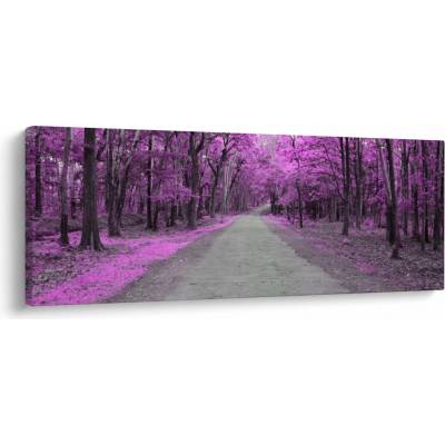Obraz - Cesta parkom, jednodielne 145x58 cm