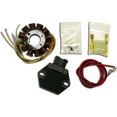 ELECTREX vinutí statoru alternátoru vč. regulátoru napětí KTM EXC 2T 250 08-17 EXC 300 08-15, FREERIDE 250 14, EXC 200 13-15 , SX 144 08, HUSABERG 250/300 11-17 ,HUSQVARNA TC/TE 250/300 14