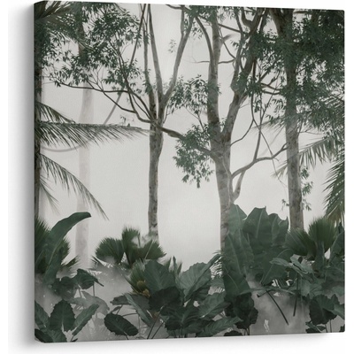 Obraz - Jungle v rannej hmle, jednodielne 50x50 cm