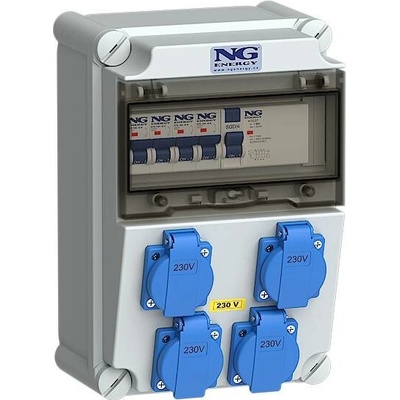 NG Energy SC 31 309 E.02