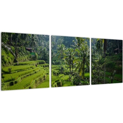 Obraz rýžových teras Tegalalang, Bali, třídílný 90x30 cm
