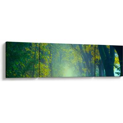 Obraz cesty lemované stromy, třídílný 170x50 cm
