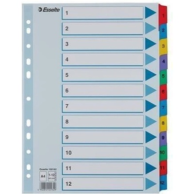 Zesílené rejstříky "Mylar", mix barev, karton, A4, 1-12, ESSELTE