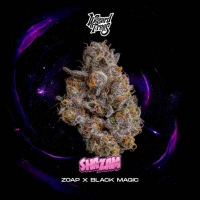 Wizard Trees Shazam semienka neobsahujú THC 3 ks