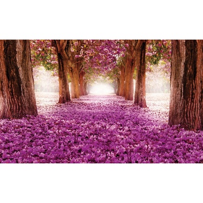 Preinterier FT3138 Fototapeta na stenu Kvitnúca alej vlies 104cm x 70cm