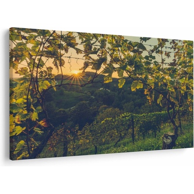 Obraz - Vinice, jednodielne 90x60 cm