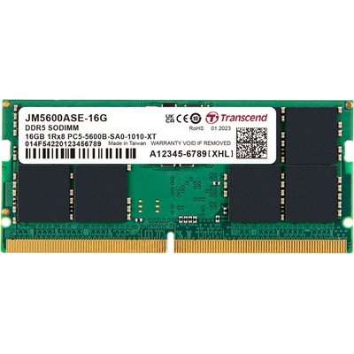 Transcend DDR5 16GB 5600Mhz CL46 JM5600ASE-16G – Hledejceny.cz