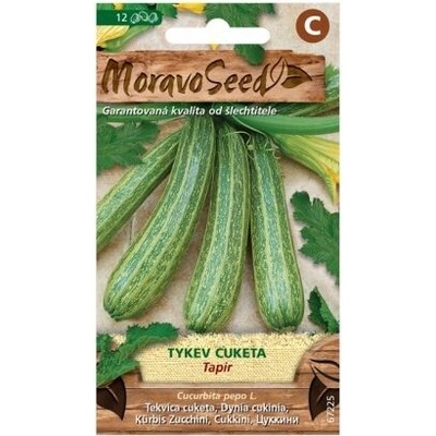 Tekvica cuketa zebrovaná TAPIR MoravoSeed