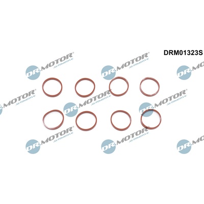 DR.MOTOR AUTOMOTIVE Sada tesnení kolena nasávacieho potrubia DRM01323S