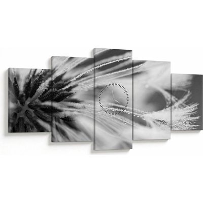 Obraz - Makro, čiernobiela (s hodinami), päťdielne 150x80 cm s hodinami