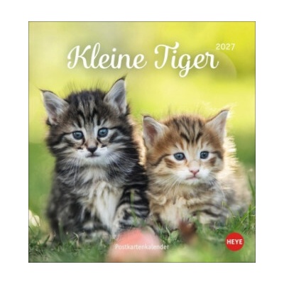 Katzen Postkarten Kleine Tiger 2027