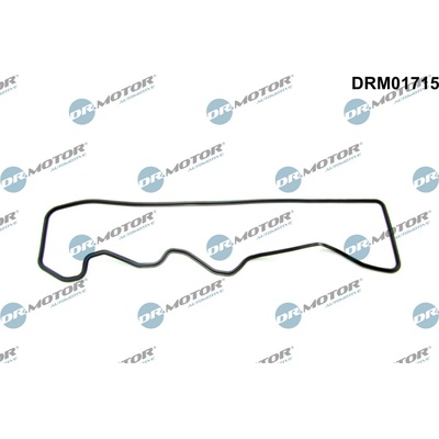 DR.MOTOR AUTOMOTIVE Tesnenie veka hlavy valcov DRM01715