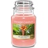 Yankee Candle Classic The Last Paradise 623 g