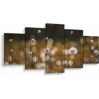 Obraz - Louka s cottongrass N⁰2, pětidílný 150x80 cm