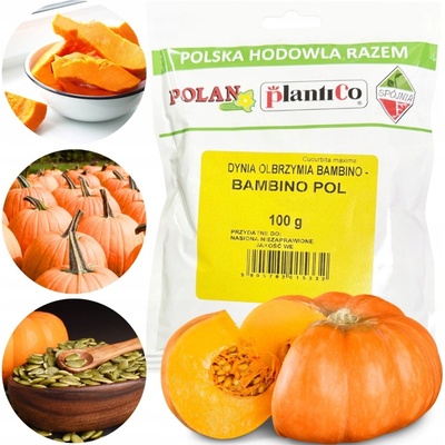 TYKEV OBŘÍ BAMBINO SEMENA K VÝSEVU ŠŤAVNATÉ PLODY PEVNÁ DŘEŇ - 100g