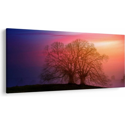 Obraz stromů v mlze, jednodílný 250x125 cm