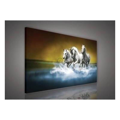 Obraz na plátne obdĺžník - OB0164 - Kone 100cm x 75cm - O1