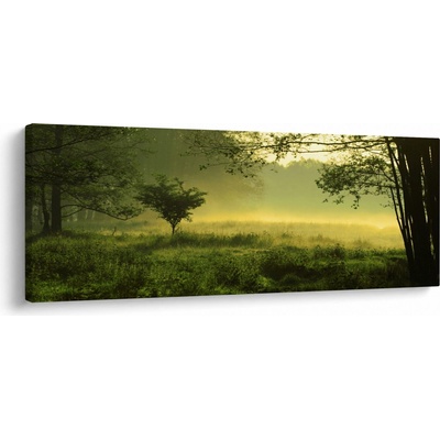 Obraz - Probouzející se les, jednodílný 100x40 cm