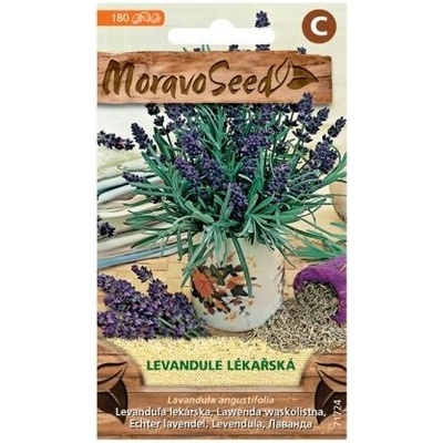 Levanduľa lekárska Moravoseed