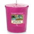 Yankee Candle Art In The Park 49 g