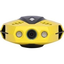 Chasing Dory Chasing 590539107