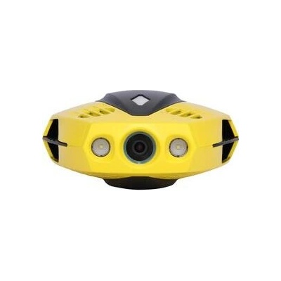 Chasing Dory Chasing 590539107