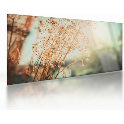 Sklenený obraz - Rastliny po daždi, jednodielne 100x50 cm na skle