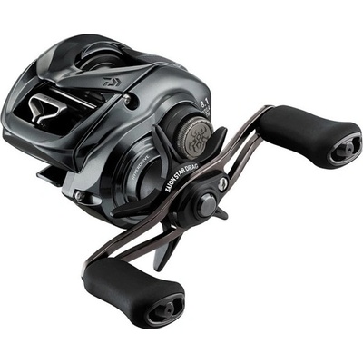 Daiwa Baitcastový Multiplikátor 24 Tatula SV TW 100HL