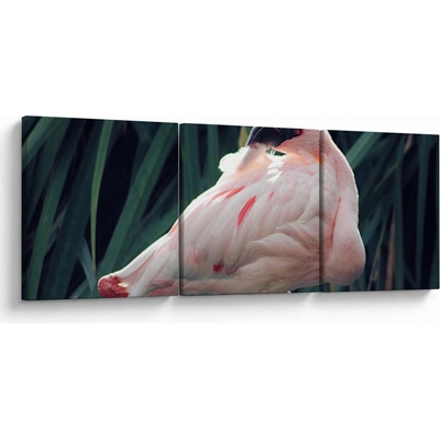 Obraz - Plameňák, třídílný 90x30 cm