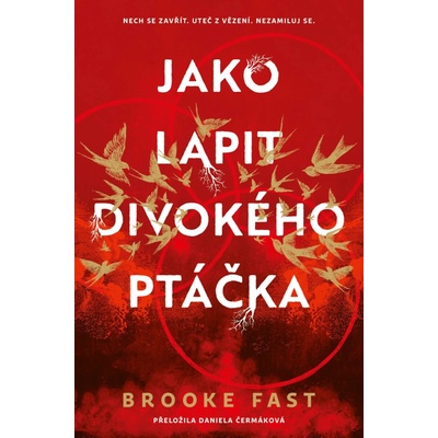 Jako lapit divokého ptáčka