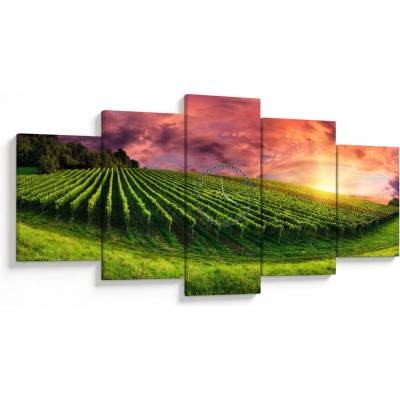 Obraz vinice s farebným nebom (s hodinami), päťdielne 150x80 cm s hodinami
