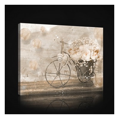 Obraz na plátne obdĺžník - OB1022 - Vintage 60cm x 40cm - O4