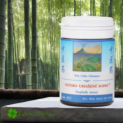 TCM Herbs Patero uhašení sopky 100 tablet 30 g – Hledejceny.cz