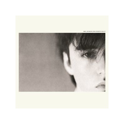 Crumbling the Antiseptic Beauty - Felt LP – Hledejceny.cz