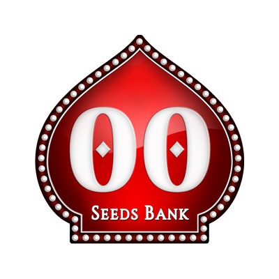 00 seeds Auto 00 Kush semienka neobsahujú THC 5 ks