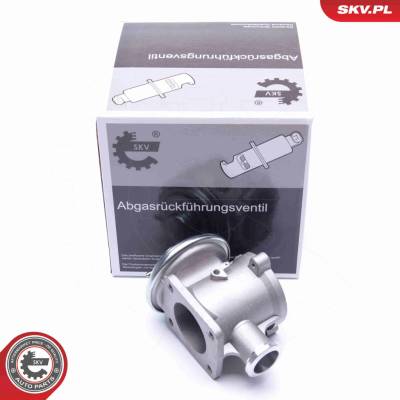 AGR-Ventil ESEN SKV 14SKV178