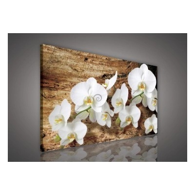 Obraz na plátne obdĺžník - OB1069 - Biele kvety 100cm x 75cm - O1