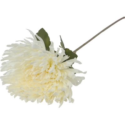 KS CHRYZANTÉMA BIELA 75CM