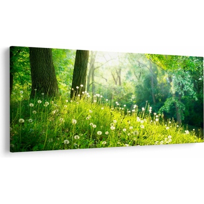 Obraz - Magická lúka plná púpav, jednodielne 200x100 cm