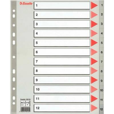 Farebné registre, šedá, A4 Maxi, plast, 1-12, ESSELTE