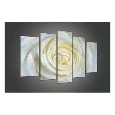 Obraz na plátne viacdielny - OB3386 - Biela ruža 100cm x 60cm - S17