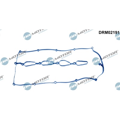 DR.MOTOR AUTOMOTIVE Tesnenie veka hlavy valcov DRM02191