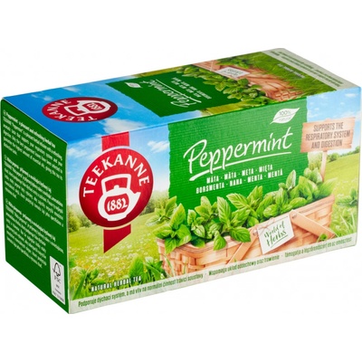 Teekanne Mátový čaj 20 x 1,5 g