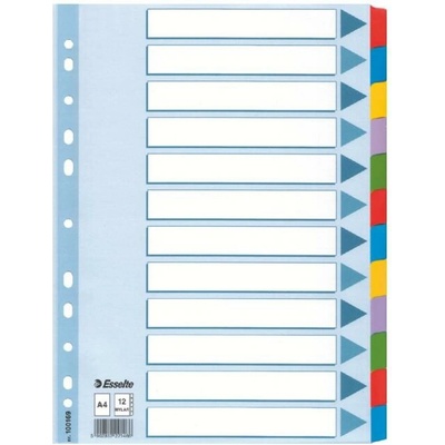 Zosilnené kartónové rozlišovače Esselte Mylar, A4, Mix farieb
